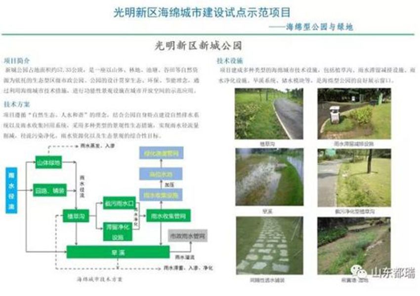 如何理解「海綿城市」的概念？